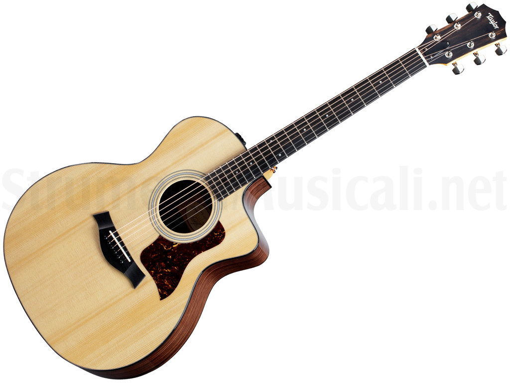 Taylor 214ce E2-2 - ギター