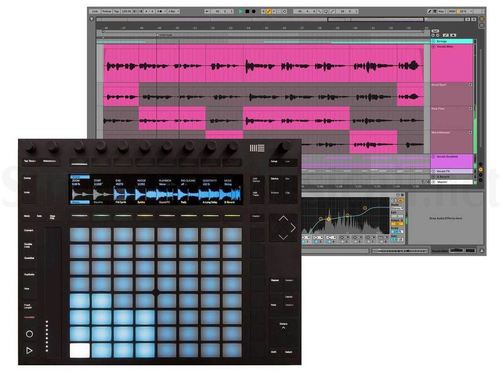 ABLETON Bundle Push 2 + Live 11 Suite (D) | Strumenti Musicali .net