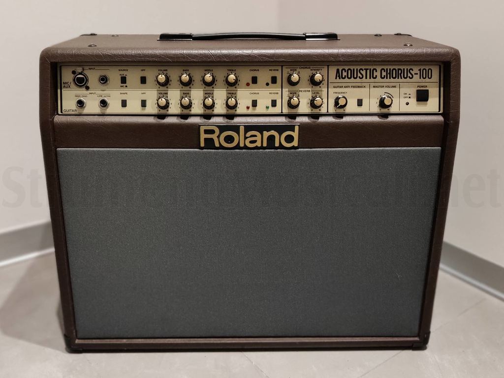 Roland AC-100 Usato  Strumenti Musicali .net
