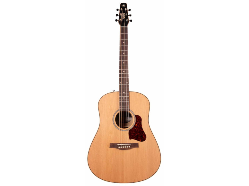 SEAGULL 042494 Coastline Momentum Hg A/e - Chitarra Acustica Dreadnought  Elettri