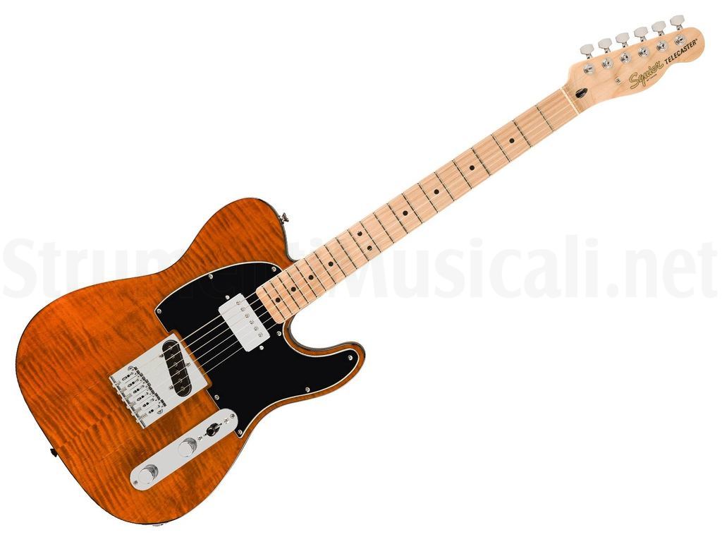 fender-