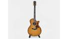 TAYLOR 314ce 50th Anniversary Ltd Usato