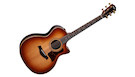 TAYLOR 414ce Studio Shaded Edgeburst