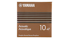 D'Addario EZ900 Acousti Guitar Strings 10-50