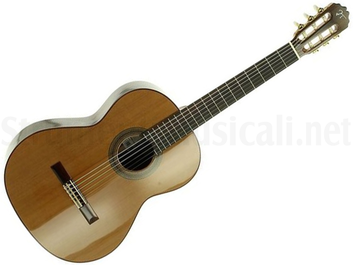 JOSE TORRES JTC-30 | Strumenti Musicali .net