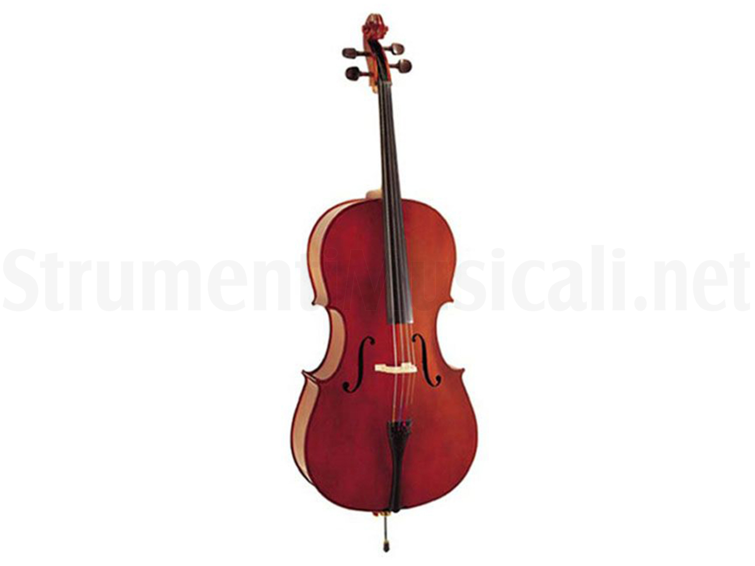 30 mm flap  Fotografie 15,2 x 10,2 cm autosigillanti   violoncello misura 108 mm x 152 mm  40 micron