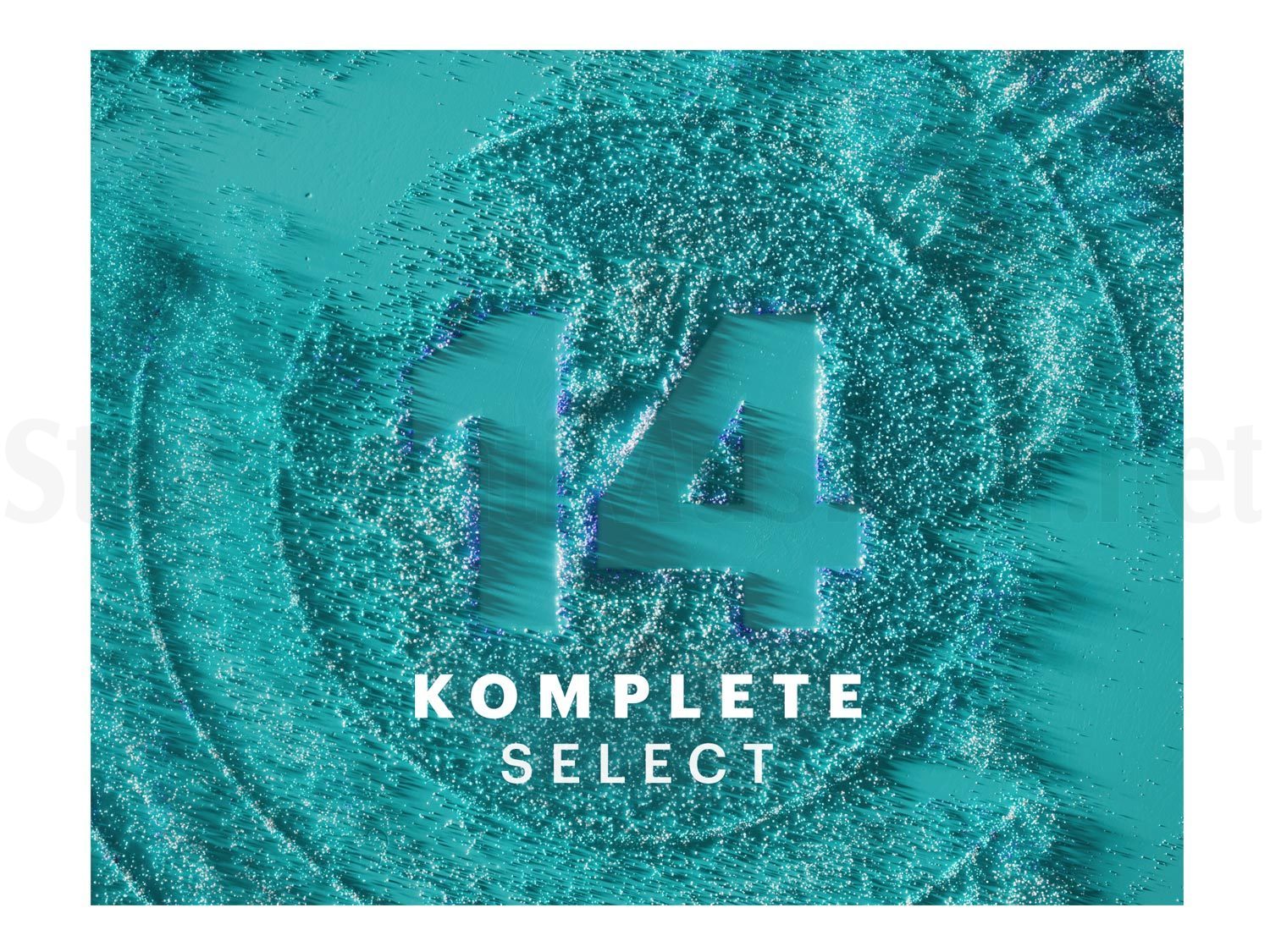 NATIVE INSTRUMENTS Komplete 14 Select | Strumenti Musicali .net