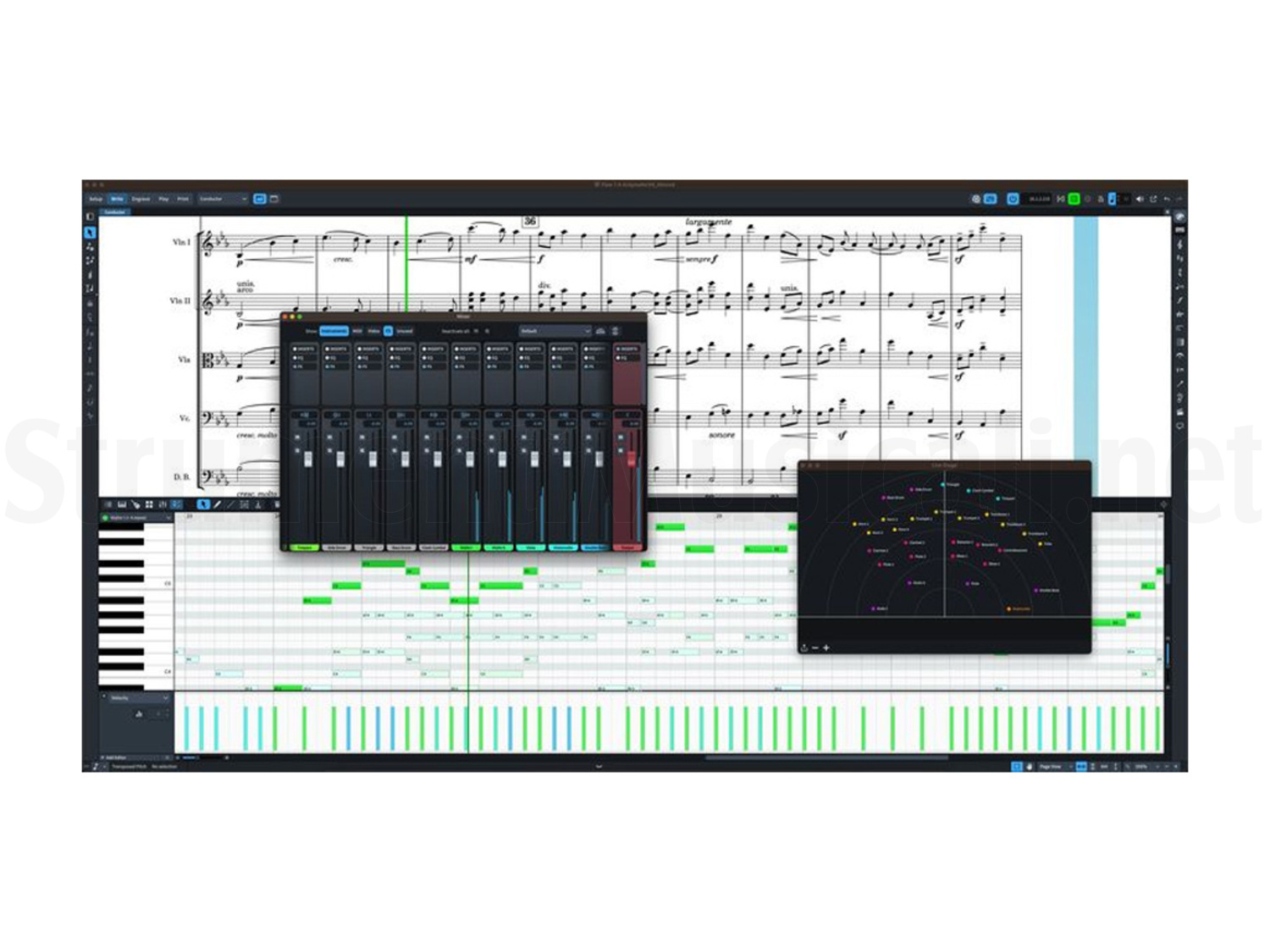 STEINBERG Dorico Pro 5 | Strumenti Musicali .net