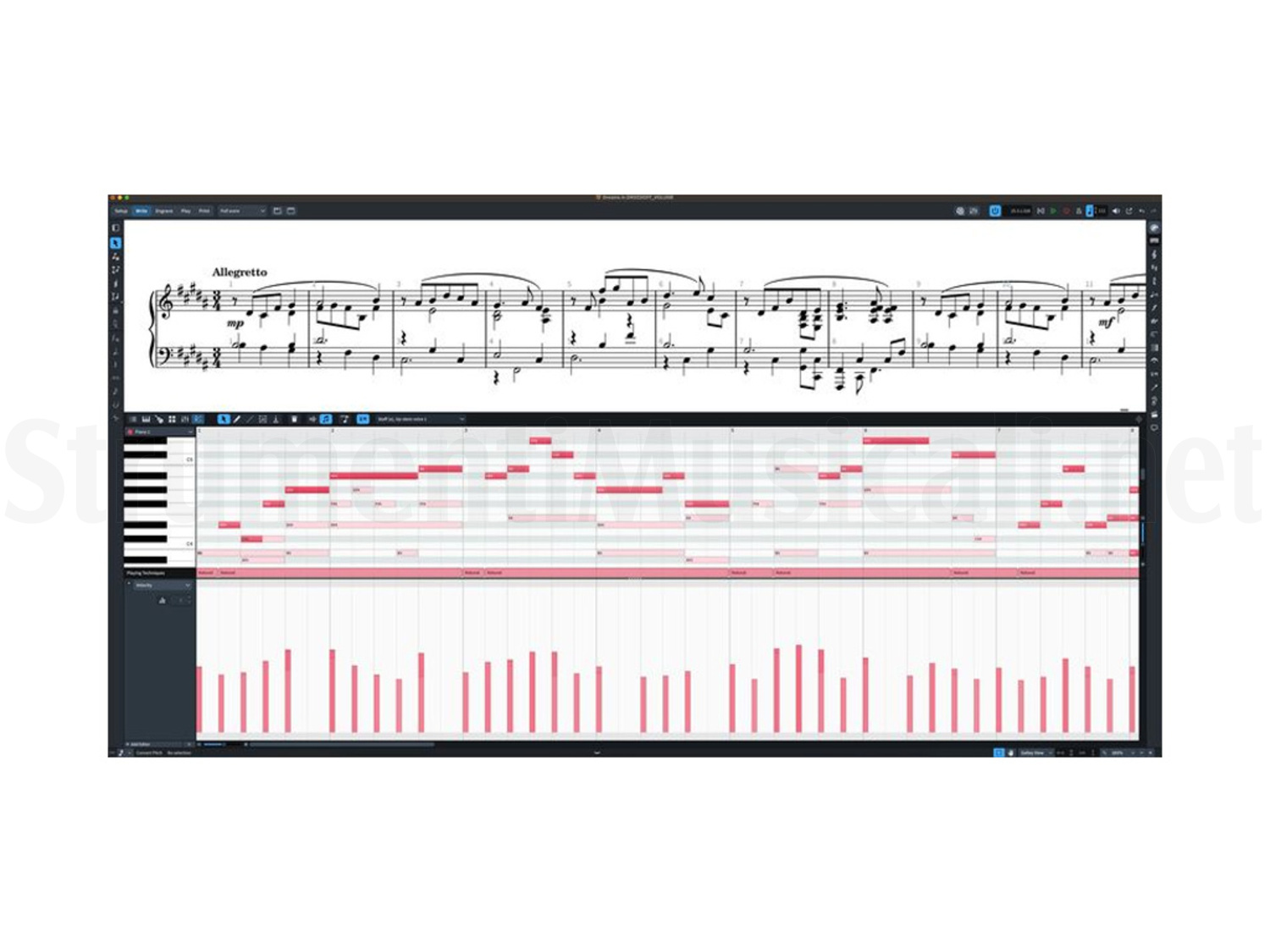 STEINBERG Dorico Pro 5 | Strumenti Musicali .net