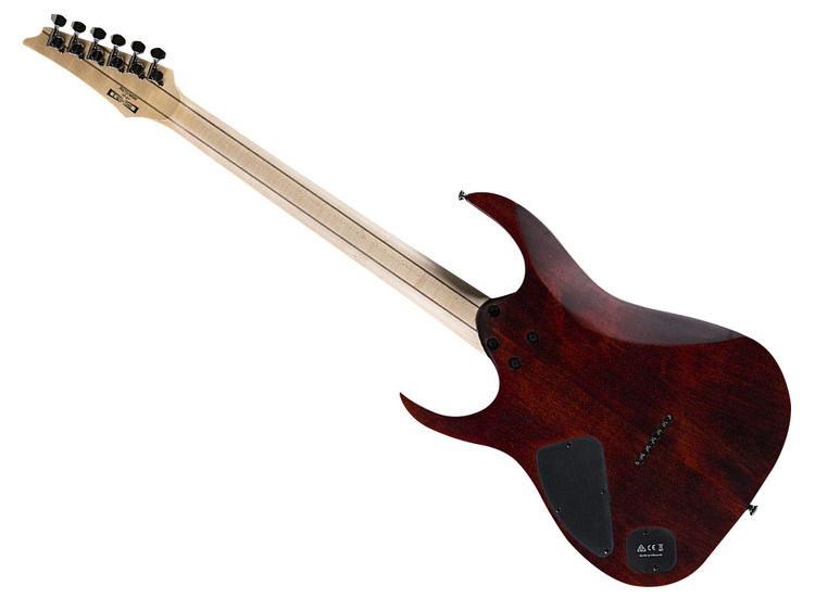 IBANEZ RG721MSM NTF Natural Flat c/astuccio | Strumenti Musicali .net