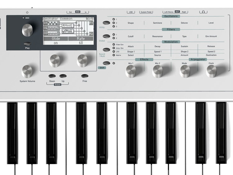 WALDORF Blofeld Keyboard White | Strumenti Musicali .net