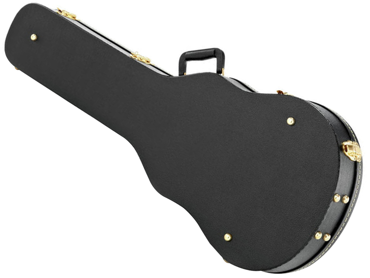 Gretsch g6238ft online case