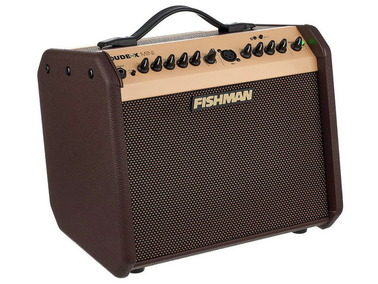 FISHMAN  LOUDBOX PERFORMER - Amplificatore per Strumenti Acustici e Voce 