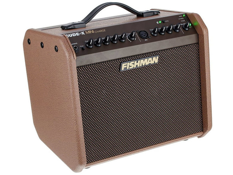 Fishman Loudbox 100 amplificatore chitarra acustica, voce 100 watt con  effetti