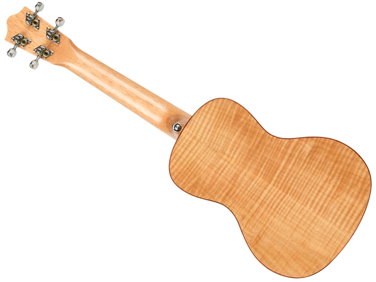 Borsa per ukulele, custodia per ukulele 21impermeabile Oxford custodia per note musicali zaino monospalla con cinghie regolabili (Nero