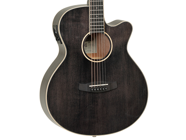 Tanglewood tw4 e bs sale