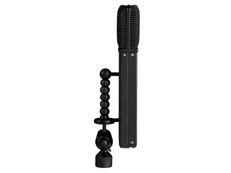 JZ MICROPHONES BH2 Black Hole | Strumenti Musicali .net