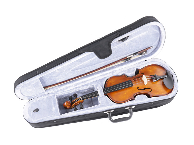 Crine Naturale Per Arco Di Violino | 76 Cm | Crine Di Cavallo Mongolo | Bianco - Foto 11