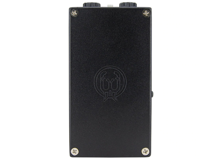 WALRUS AUDIO Canvas Mono | Strumenti Musicali .net