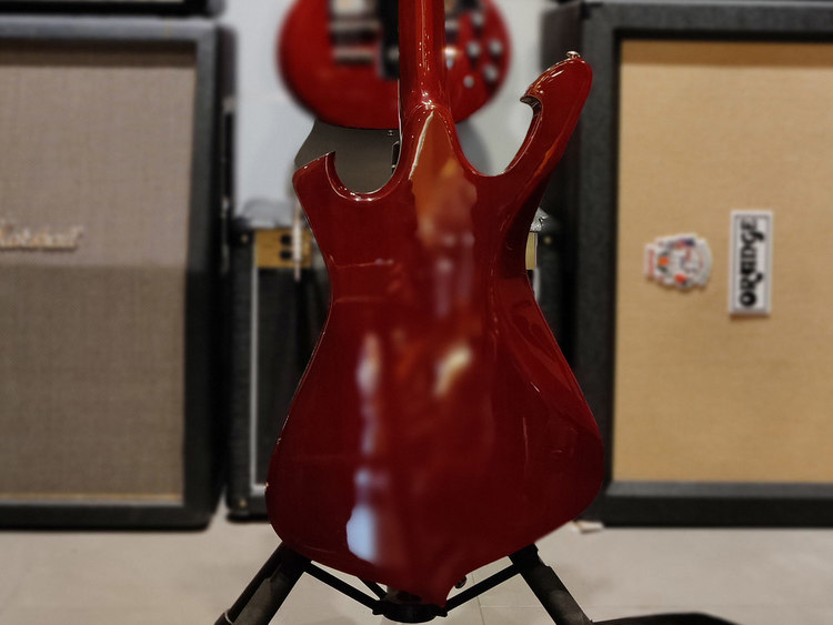 Ibanez FRM 250 MF Usato | Strumenti Musicali .net