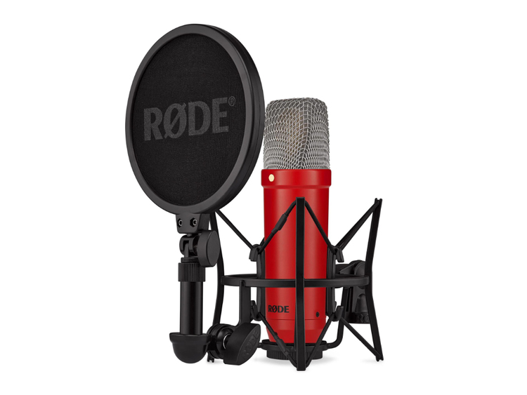 Microfono A Condensatore Con Diaframma Grande – Perfetto Per Streaming, Karaoke E Registrazione In Studio Casalingo