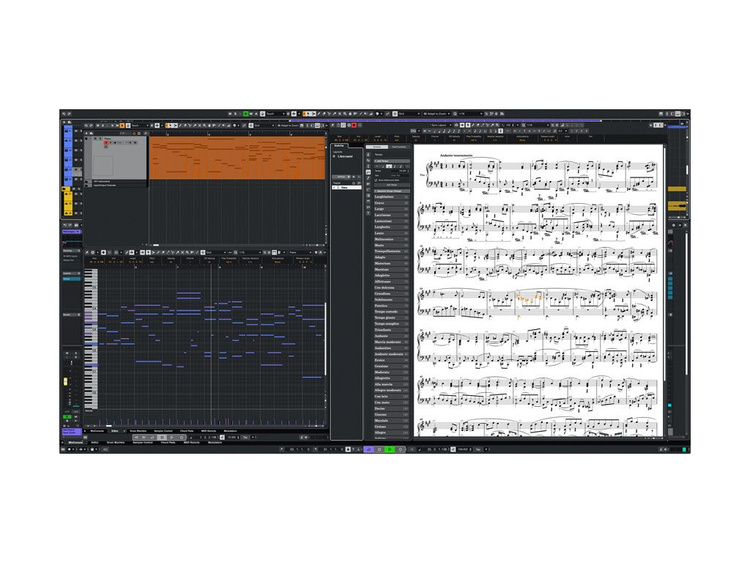 STEINBERG Cubase Pro 14 ITA | Strumenti Musicali .net